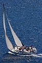 Vela e Velieri
